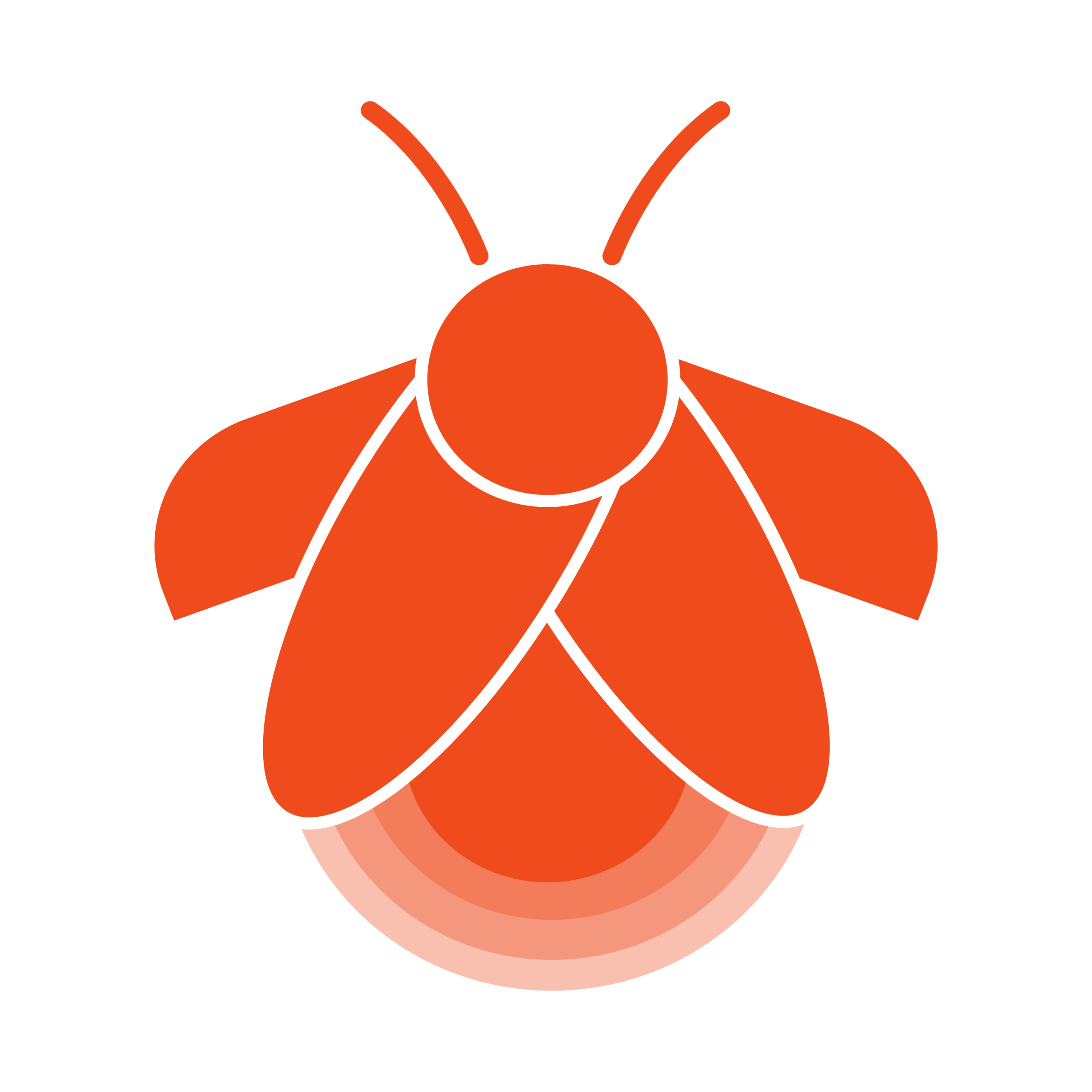 Vagalume